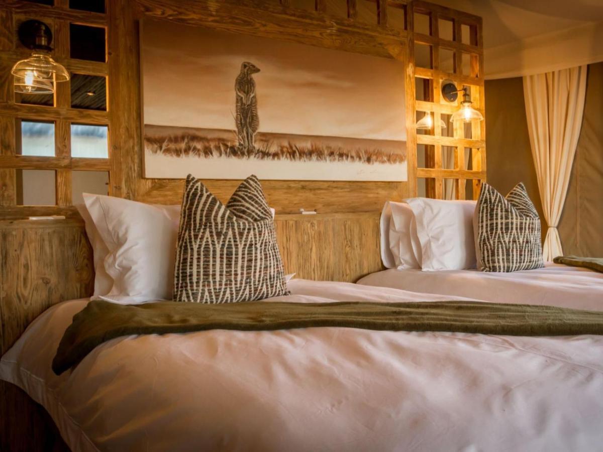 Imagine Africa Luxury Tented Camp Balule viltreservat Exteriör bild
