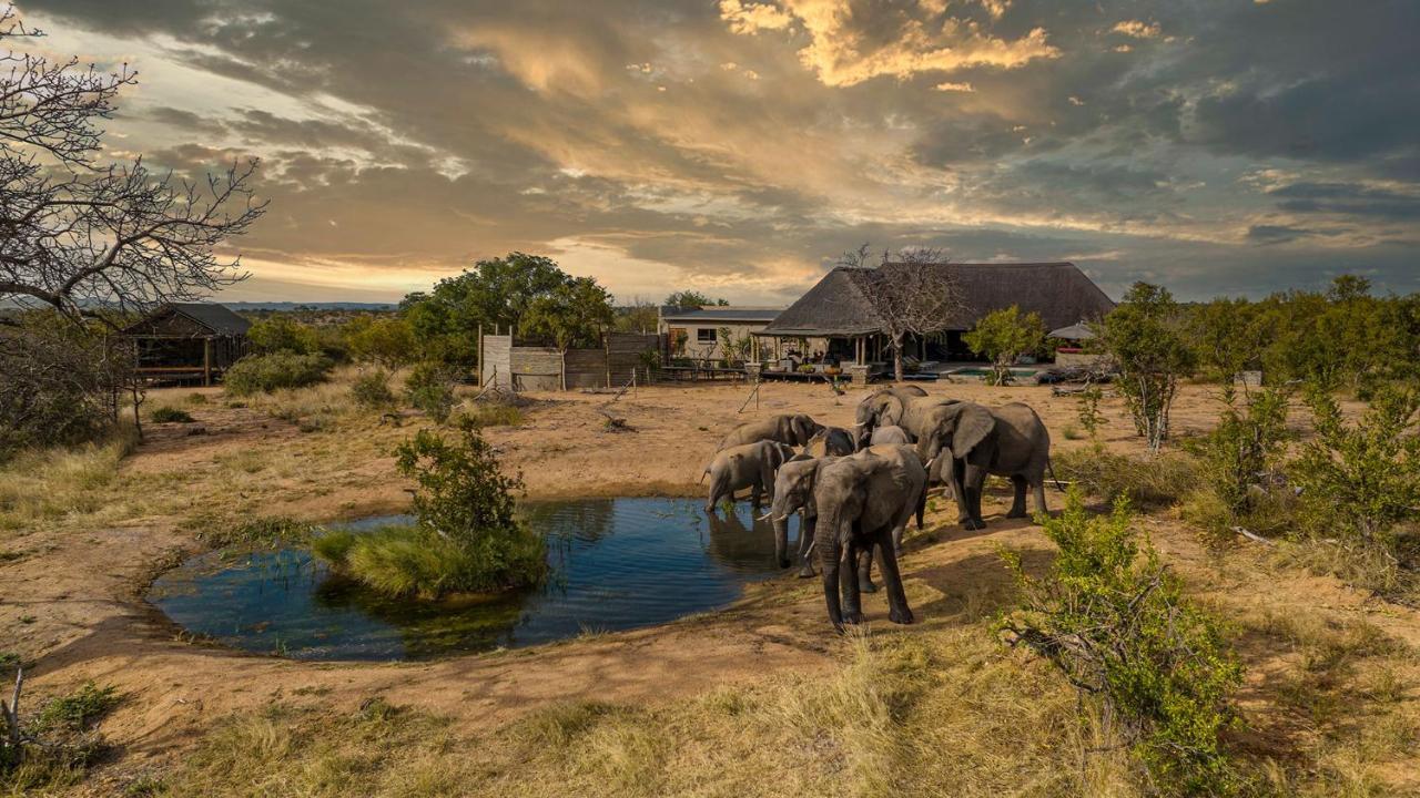 Imagine Africa Luxury Tented Camp Balule viltreservat Exteriör bild
