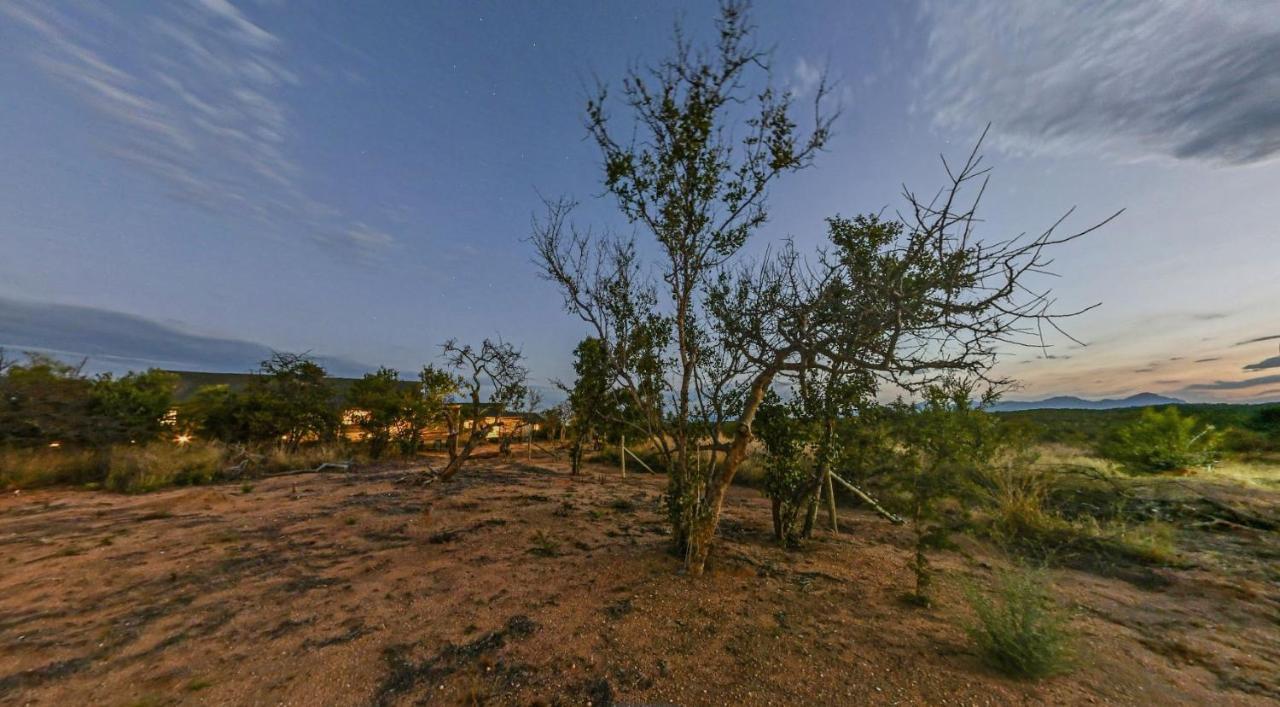 Imagine Africa Luxury Tented Camp Balule viltreservat Exteriör bild
