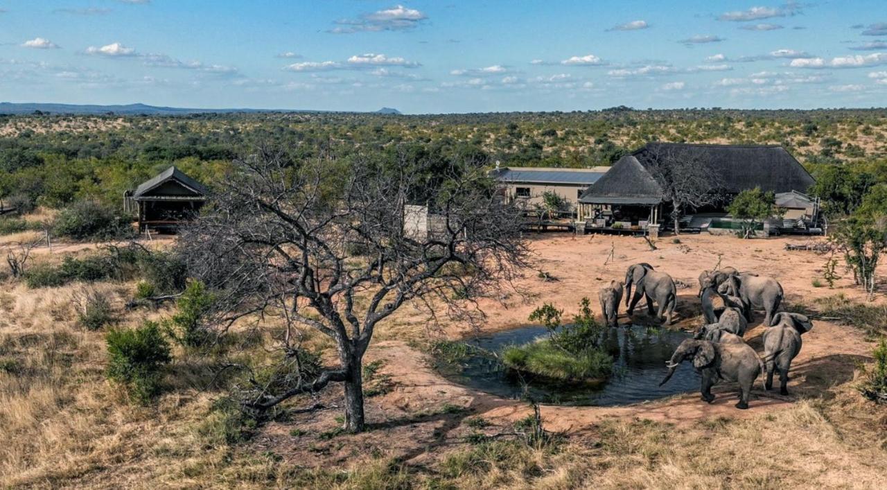 Imagine Africa Luxury Tented Camp Balule viltreservat Exteriör bild