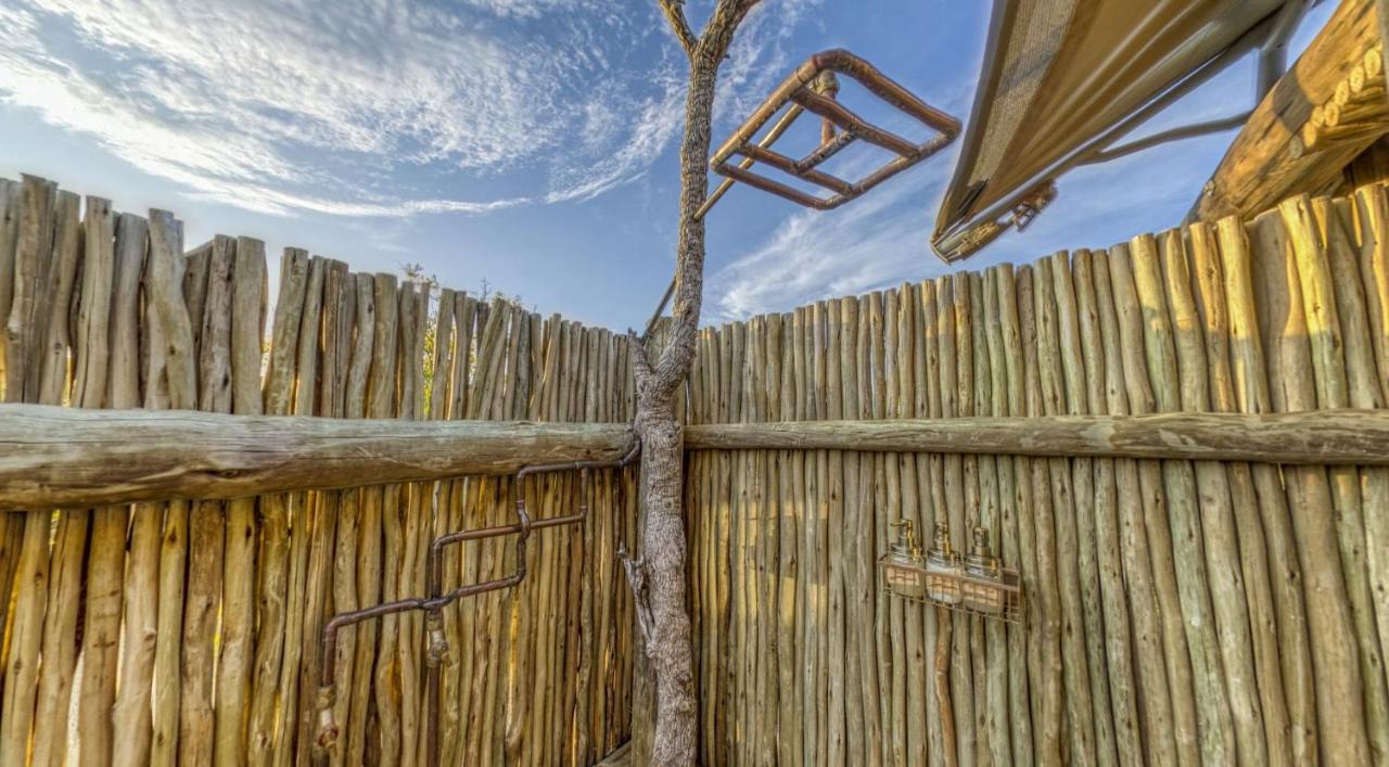Imagine Africa Luxury Tented Camp Balule viltreservat Exteriör bild